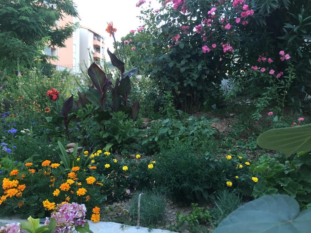 Mfs Apartments موستار المظهر الخارجي الصورة